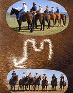 Spear M Quarter Horses - Brand